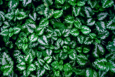 Similar image 22078272