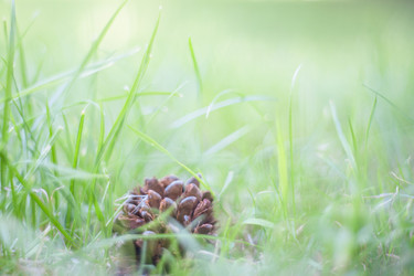 Similar image 22078273