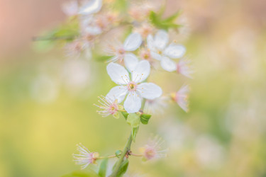 Similar image 22078274