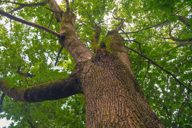 Similar image 22078275