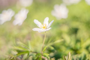 Similar image 22078276