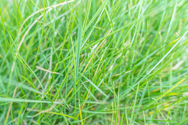 Similar image 22078278