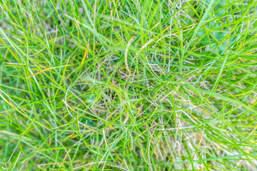 Similar image 22078279