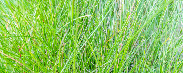 Similar image 22078280