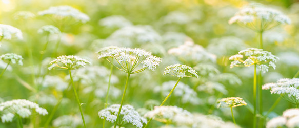 Similar image 22078281