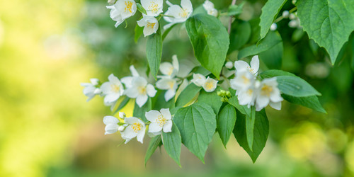 Similar image 22078282