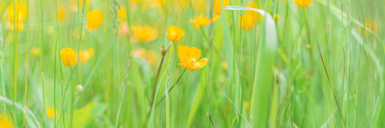 Similar image 22078285