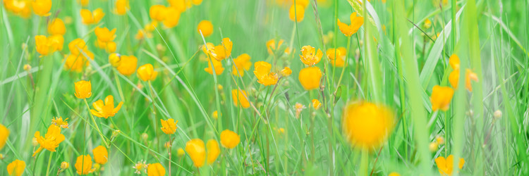 Similar image 22078287