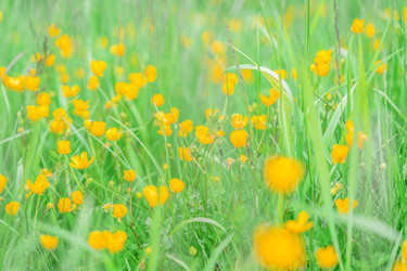 Similar image 22078288