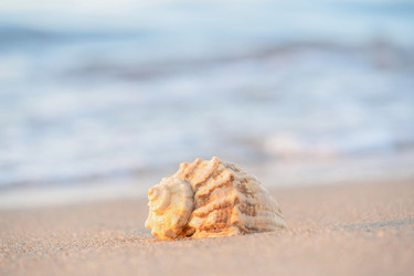 Similar image 22078289