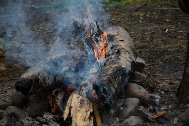 Similar image 22077115