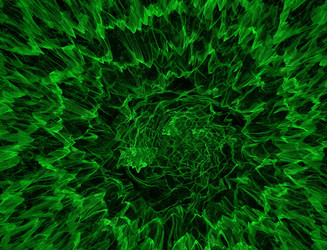 Similar image 22076545