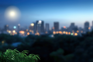 Similar image 22077827