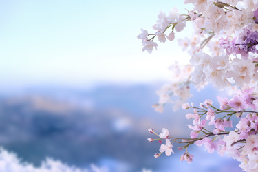 Similar image 22077828