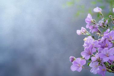 Similar image 22077836