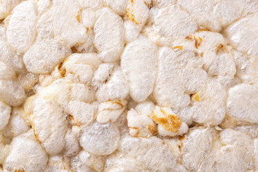 Similar image 22079623