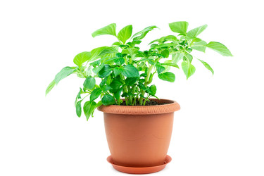 Similar image 22078776