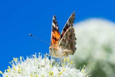 Similar image 22078777