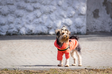 Similar image 22079026