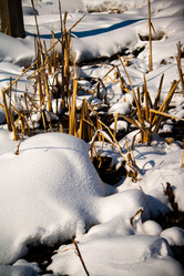 Similar image 22076322