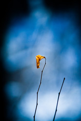 Similar image 22076323