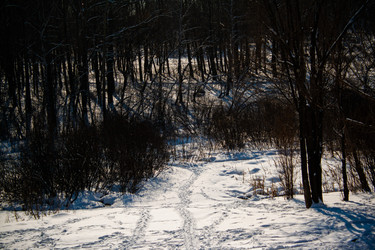 Similar image 22076324