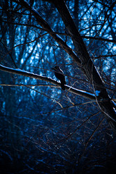 Similar image 22076325