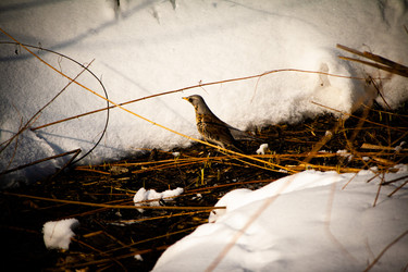 Similar image 22076326