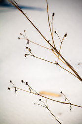 Similar image 22076327