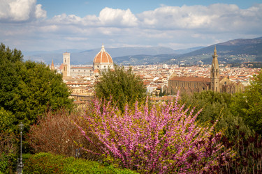 Similar image 22077125