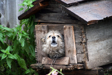 Similar image 22077128