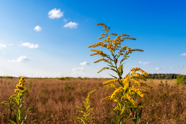 Similar image 22080514