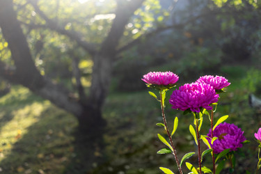 Similar image 22080515