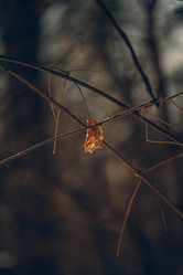 Similar image 22077132