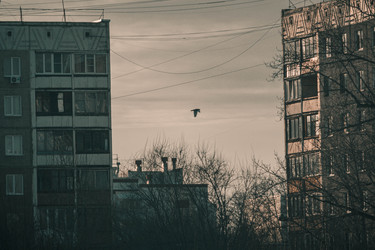 Similar image 22077133