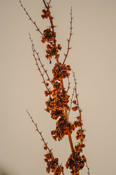 Similar image 22077134