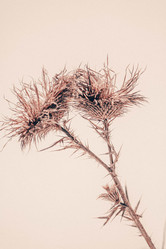 Similar image 22077135