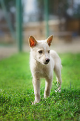 Similar image 22079313