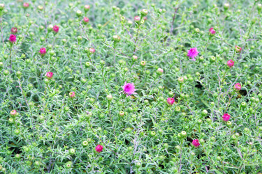 Similar image 22077839