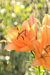 Similar image 22077158