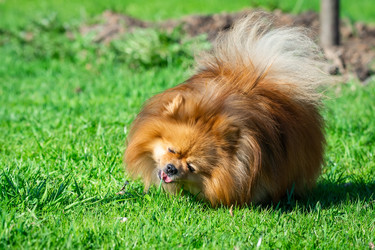 Similar image 22079320