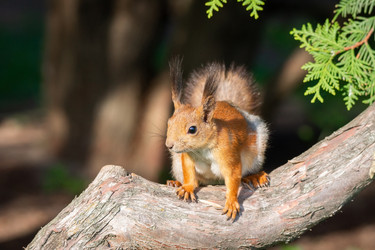 Similar image 22079322