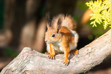 Similar image 22079324