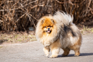 Similar image 22079325