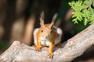 Similar image 22079326