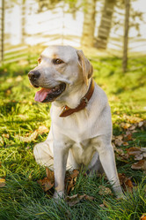 Similar image 22079336