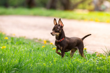 Similar image 22079337