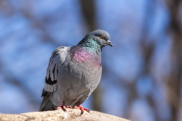 Similar image 22079343