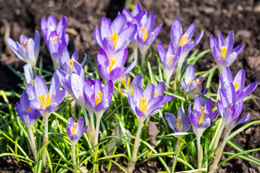 Similar image 22079346