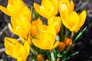 Similar image 22079348